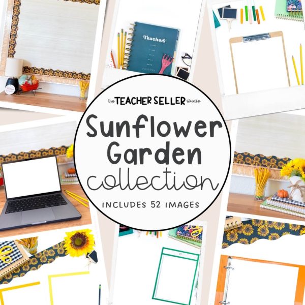 Sunflower Garden Collection Mockup and Stock Images for Teacher Sellers
